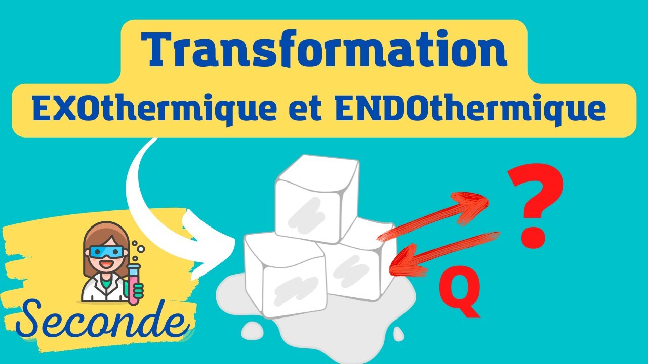 👩‍🔬Transformations endothermiques et exothermiques - CHIMIE - SECONDE