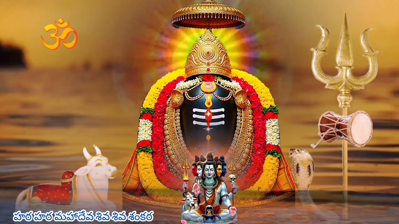 హర హర మహాదేవ శివ శివ శంకర 🙏🌴