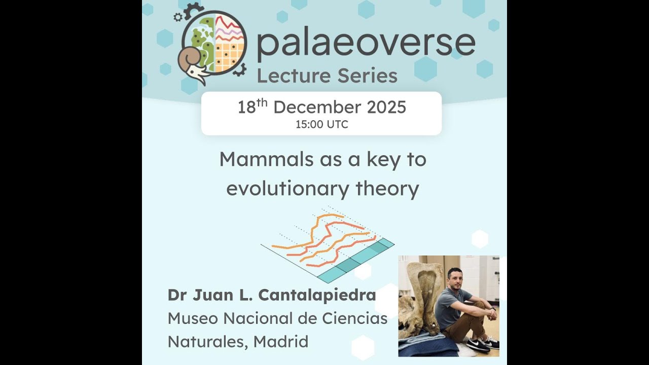 Palaeoverse Lecture Series: Dr. Juan Cantalapiedra - Mammals as a key to evolutionary theory