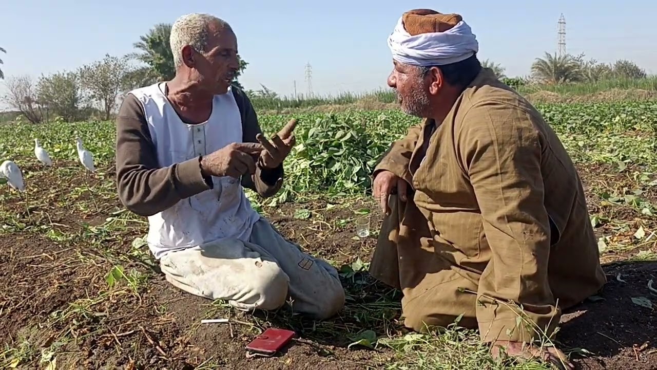 ١١ نوفمبر ٢٠٢٥