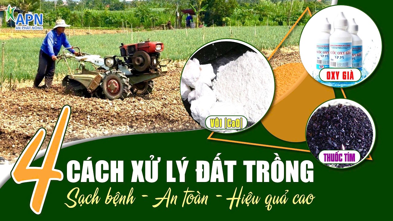 APN - CẢI TẠO ĐẤT TRỒNG RAU MÀU | NGÂM ĐẤT, OXY GIÀ, THUỐC TÍM, VÔI ĐÁ NUN