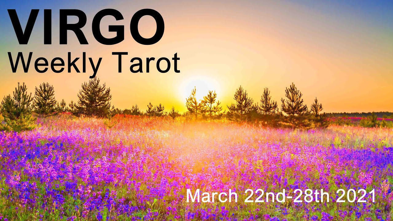 VIRGO WEEKLY TAROT READING 