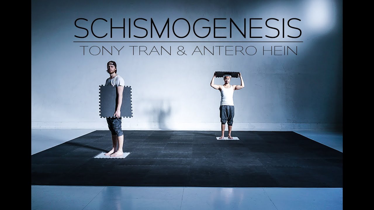 One day of SCHISMOGENESIS