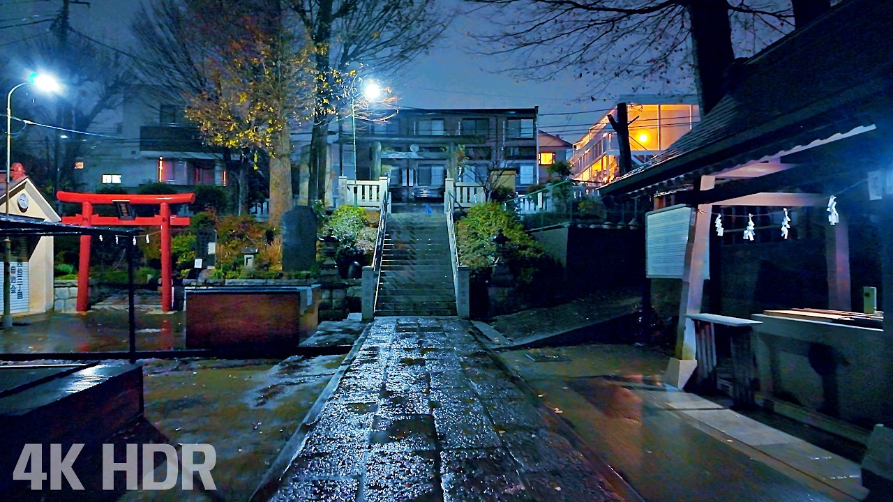 [ASMR] Continuous Rain Walking Through Empty Alleys on a Winter Night | Tokyo, Japan | 4K/HDR