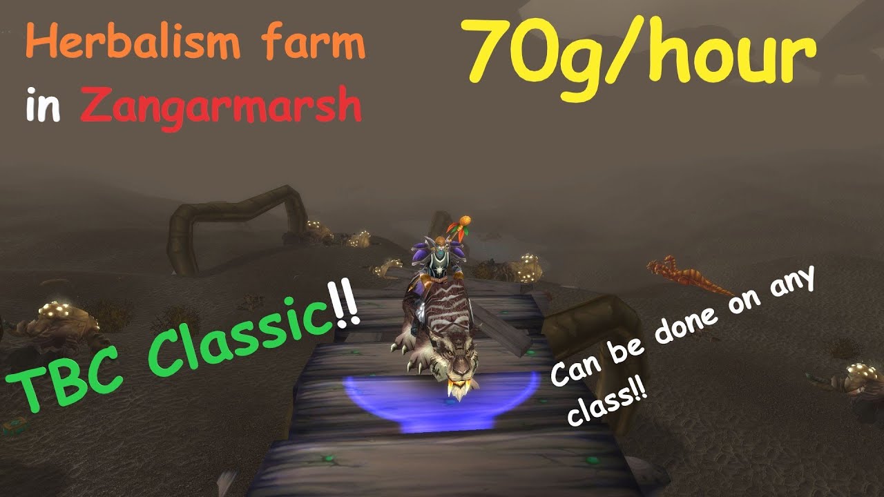 70 GOLD per hour TBC CLASSIC GOLD farm!!
