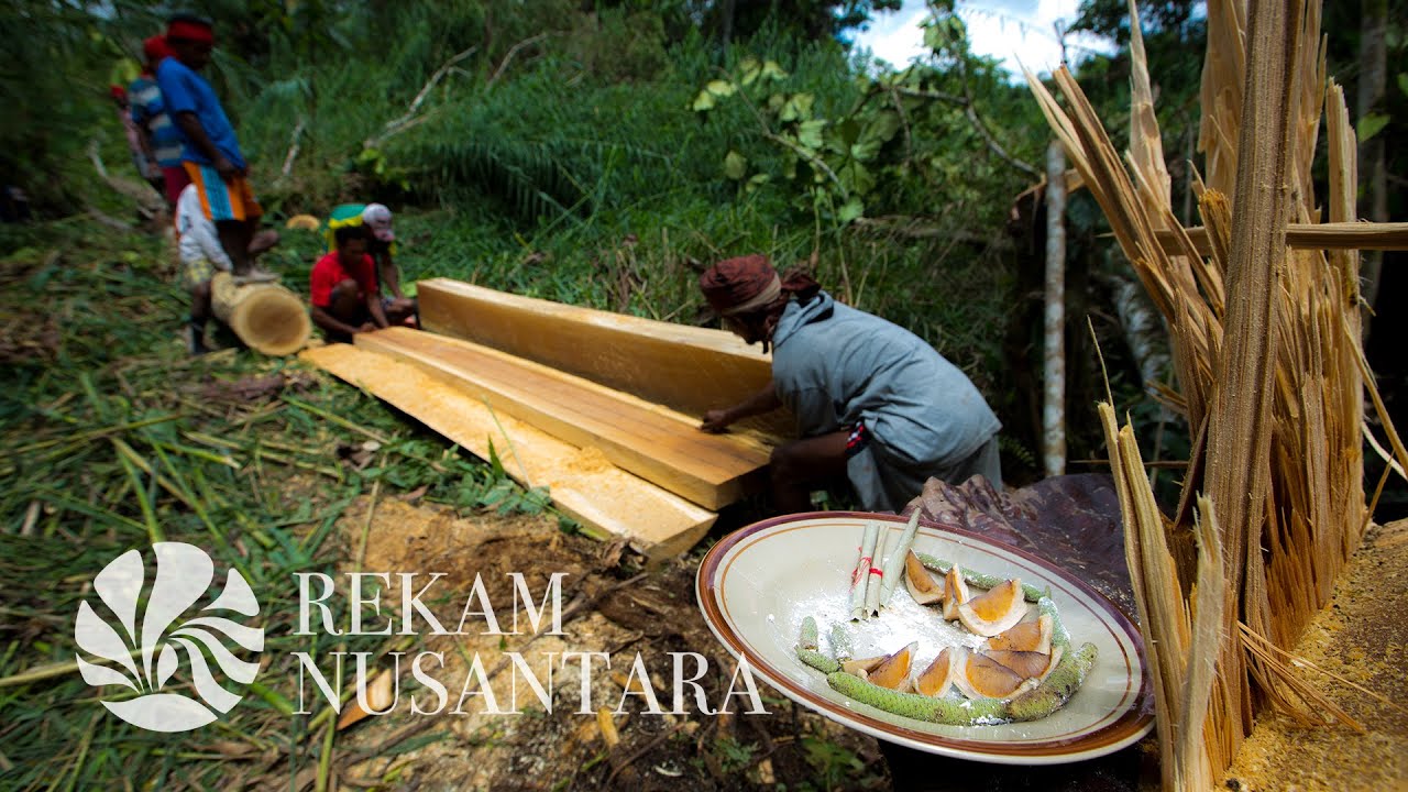 Tradisi Menebang Pohon | Saka Adat Pisinae | Manusela