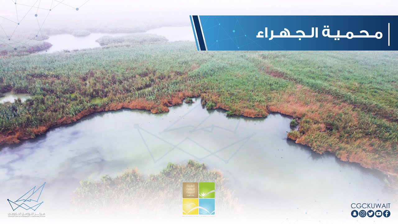 محمية الجهراء