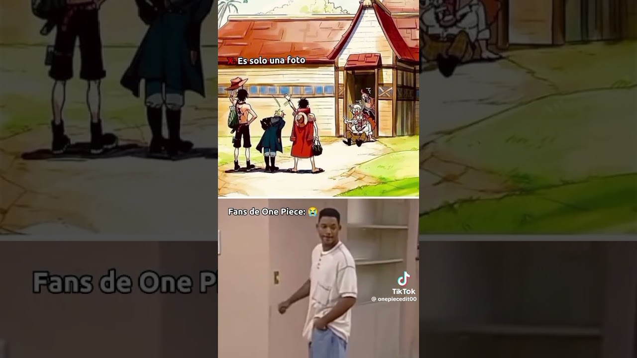 Recordando cuando la cada se encontr&oacute; sus hermanos y su familia #onepiece