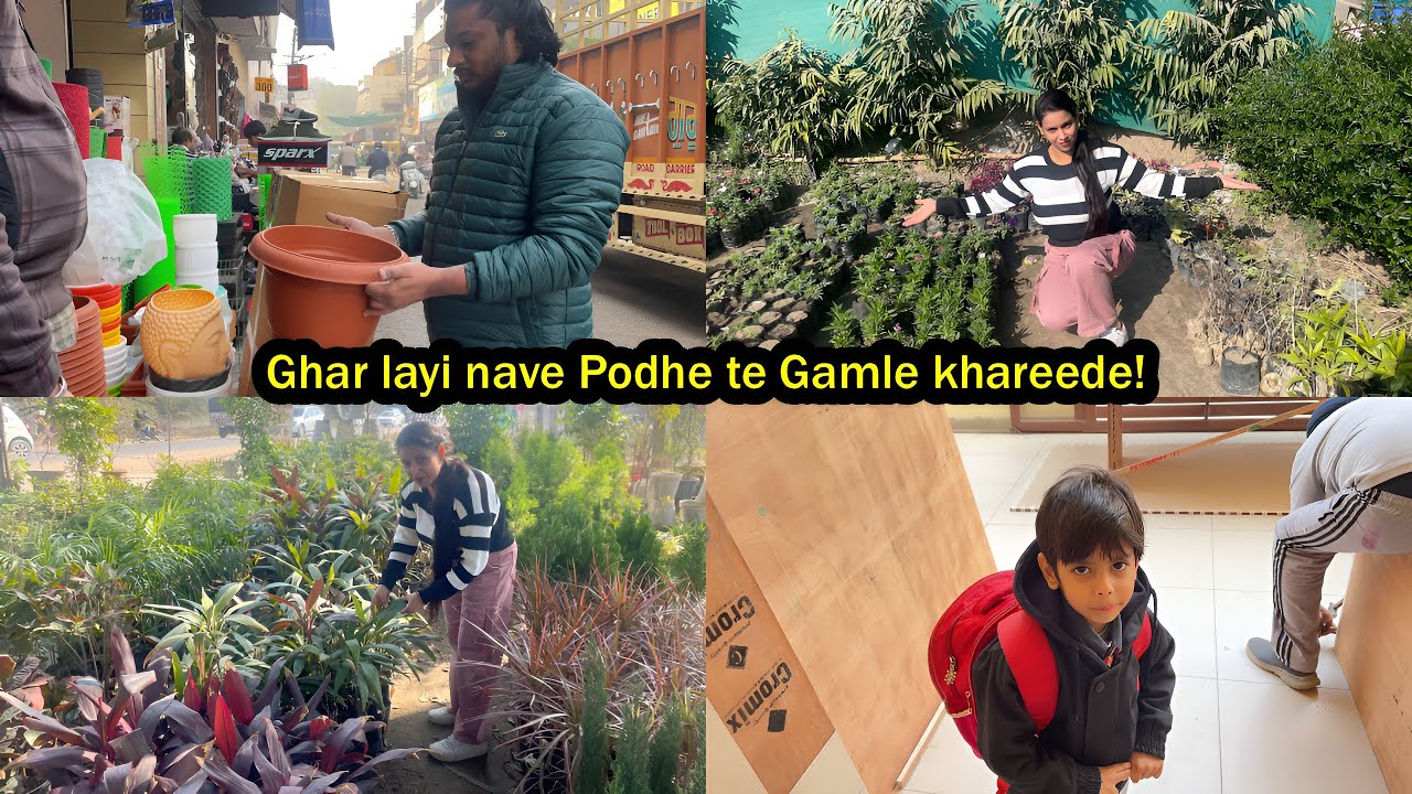 Ghar layi nave Podhe te Gamle khareede! | Garima Vlogs Patiala