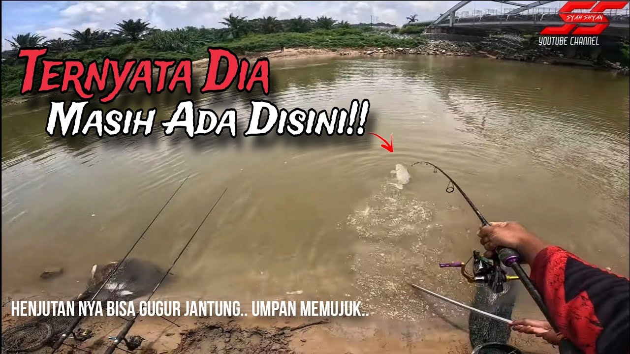 Tak Puas HATI Kerap Sangat Tunjuk Badan‼️ Ada Juga Umpan Berjaya Pujuk‼️GIVEAWAY🔥