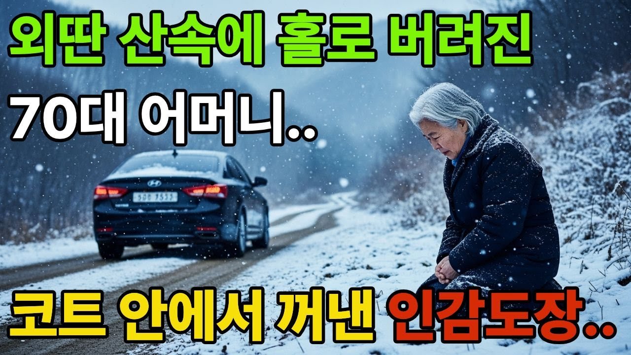 [인생노후]수십억 재산 노린 아들, 70대 어머니를 눈 내리는 산속에 버렸습니다 . 노후사연 / 감동사연 /사연라디오 /오디오북