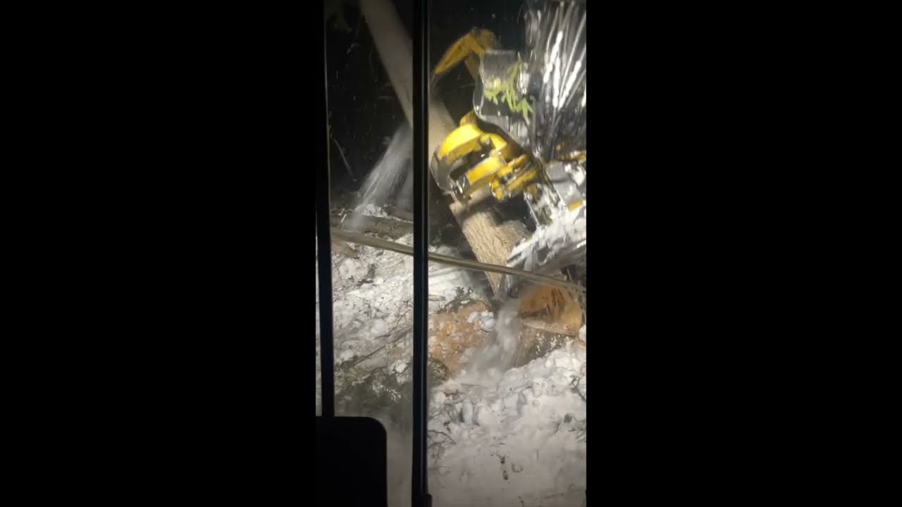 Tigercat LX830C Falling big wood on winch assist Tractionline