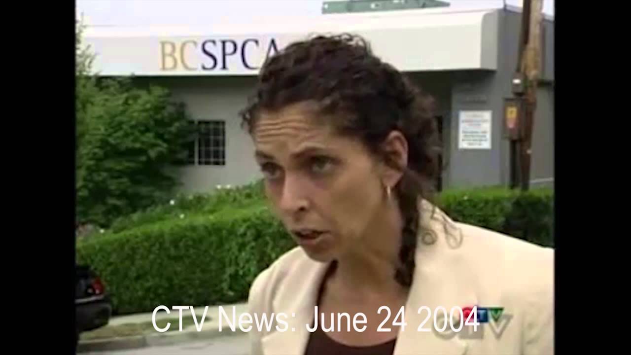 Cheech the pup: Kidnapped and Rescued from the BC SPCA by BC SPCA Employees