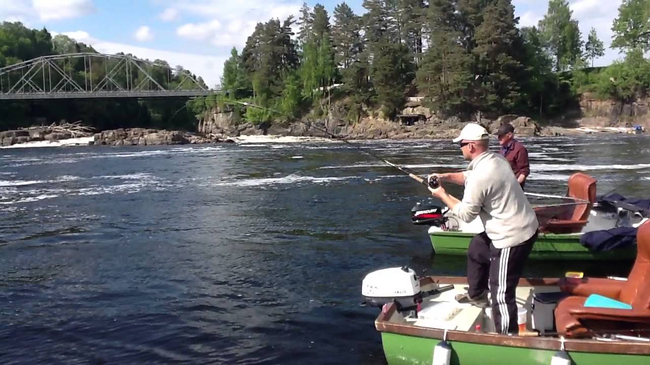 Holmfoss i Numedalslågen 2013