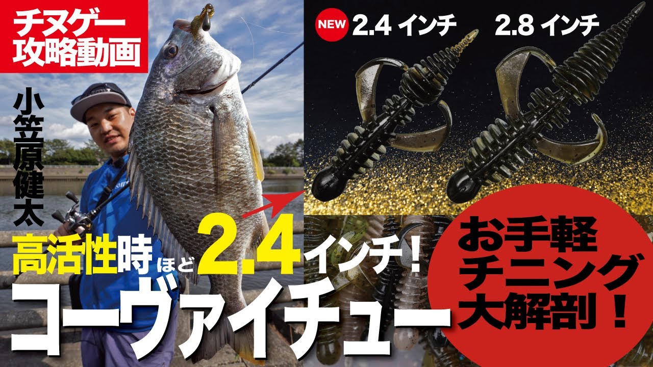 【チヌゲー攻略】高活性時ほど2.4インチのコーヴァイチュー【小笠原健太】#チニング #コーヴァイチュー #小笠原健太