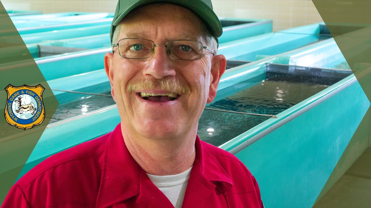 Virtual Fish Hatchery Tour - Wyoming's Clarks Fork Fish Hatchery