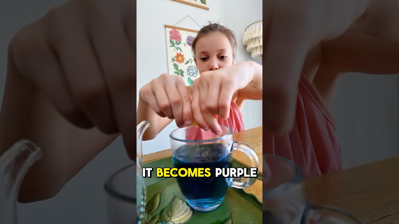 What is Butterfly Pea?!?