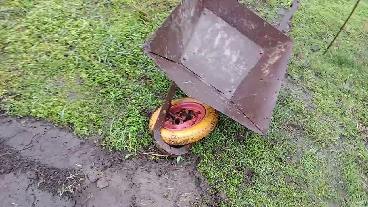 Заливка бетону у зимовому винограднику !! #виноград  #саджанці  #сад 
