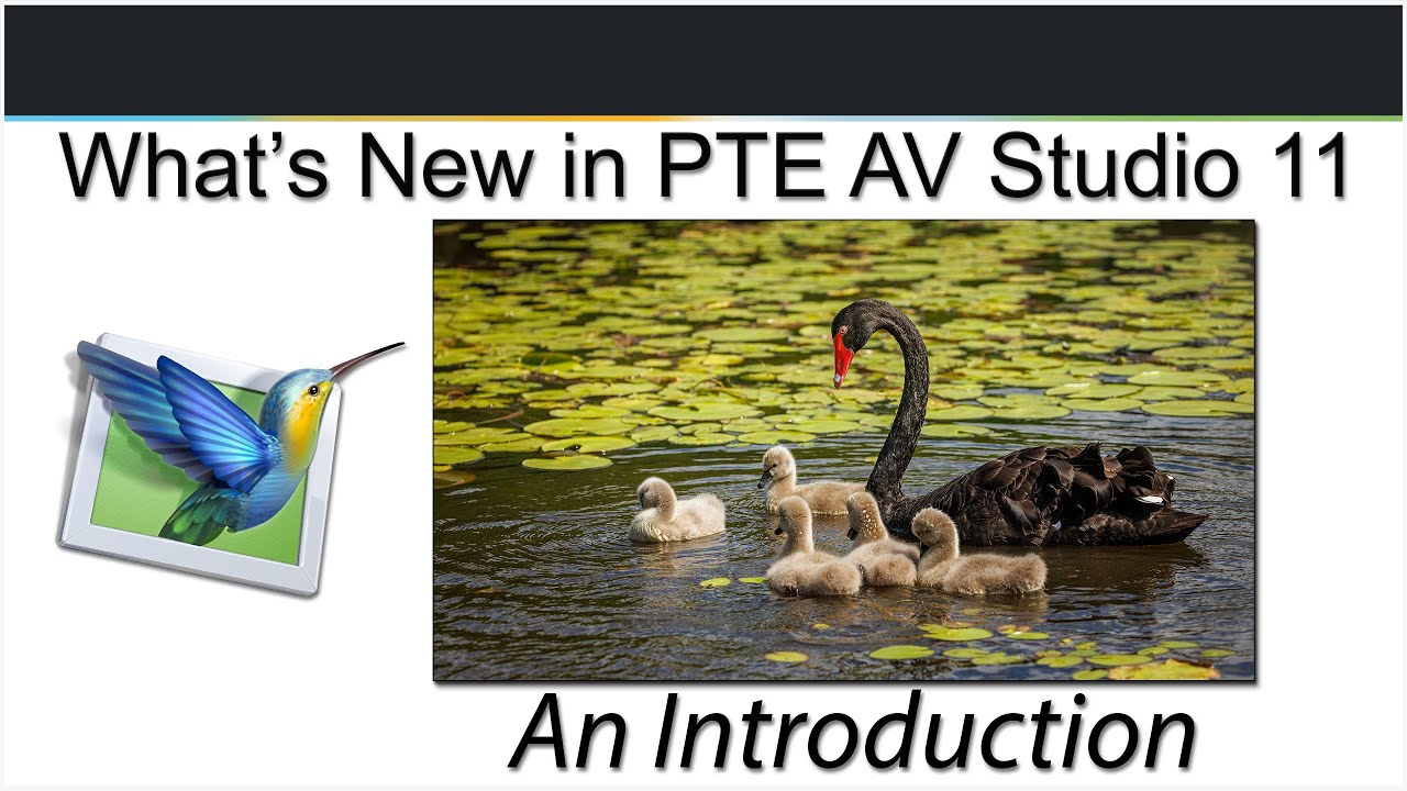 001 — Что нового в PTE AV Studio 11 — Введение