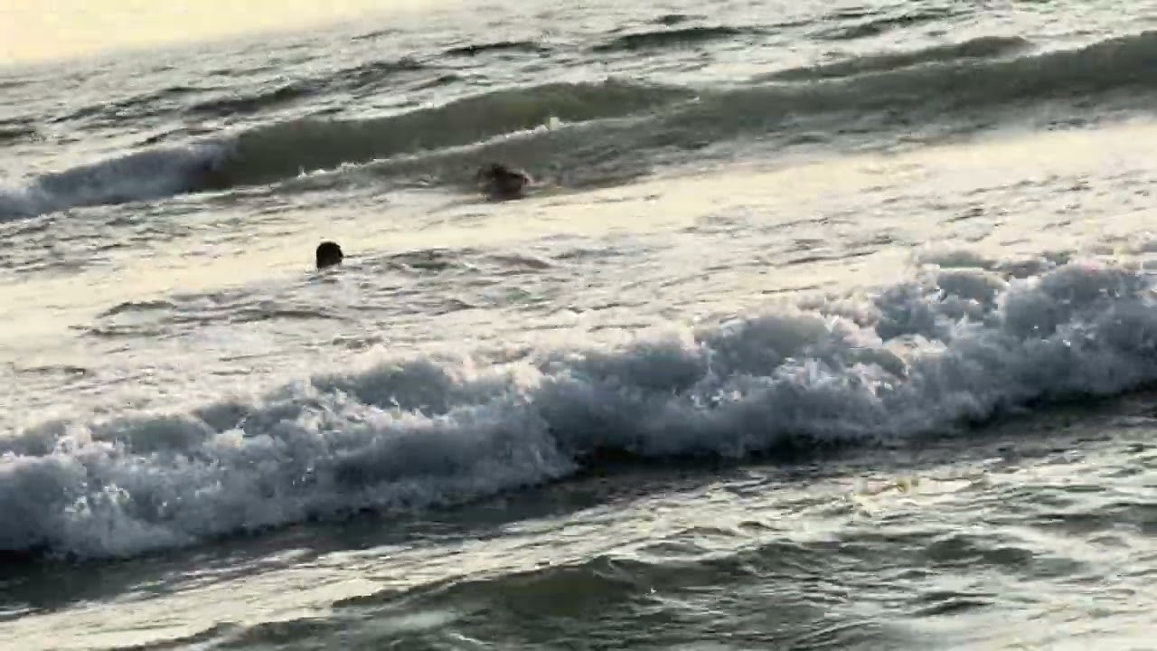Tourist trapped in the waves of Arabian Sea  in Barkala beach and rescued by lifeguard 