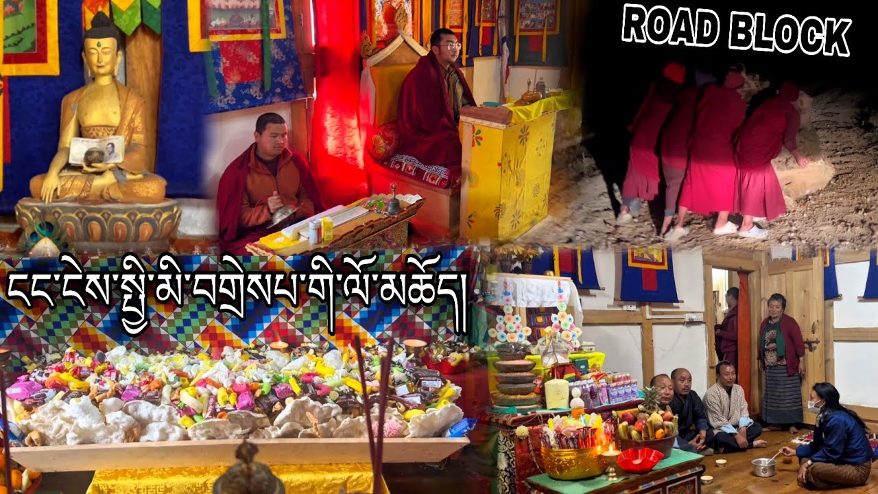 ROAD BLOCKED BY UPROOTED TREE ROOT| ANNUAL RITUAL AT NGANEY | FORMER CHIMI’S HOME