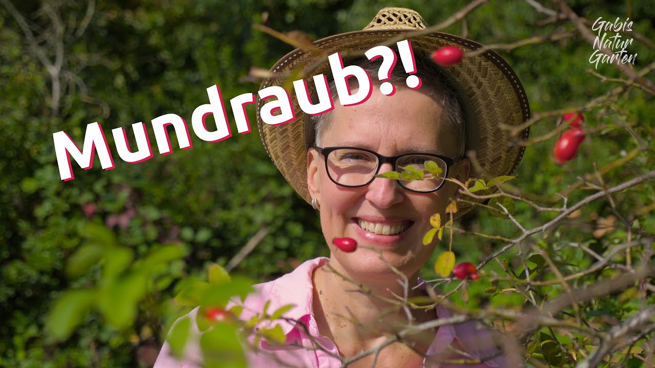 Am Wegrand naschen