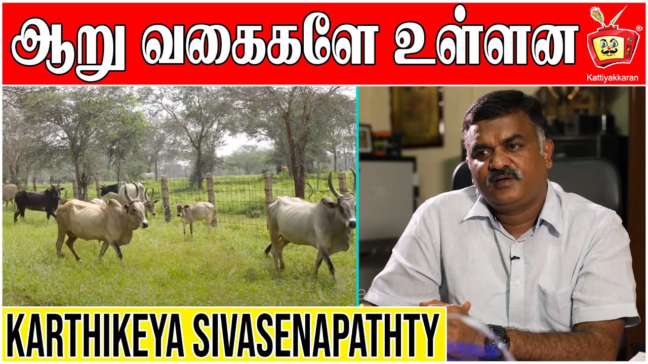 Karthikeya Sivasenapathty | Kangayam Cattle Research | Master Minds | Kattiyakkaran