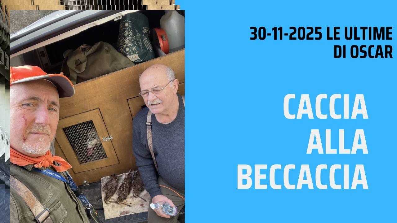 una giornata di caccia alla beccaccia