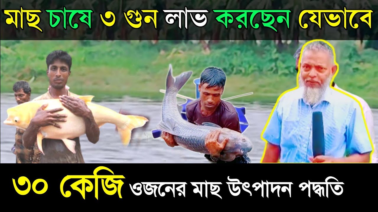 পর্ব-২, কিভাবে ৩০ কেজি ওজনের মাছ উৎপাদন করবেন, কি সাইজের পোনা ছাড়বেন?, কার্প ফ্যাটেনিং কি?