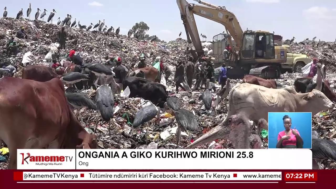 #KamemeMaturaini