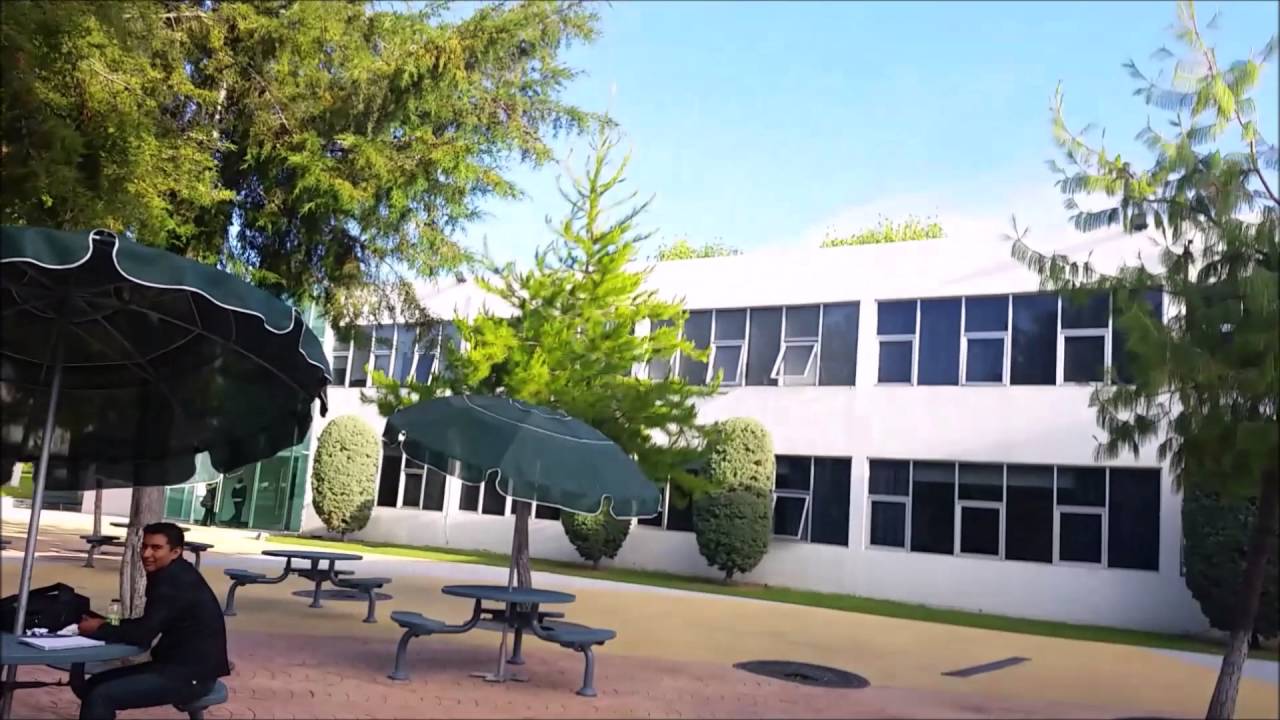 Crónica sobre el Tec de Monterrey Campus Hidalgo