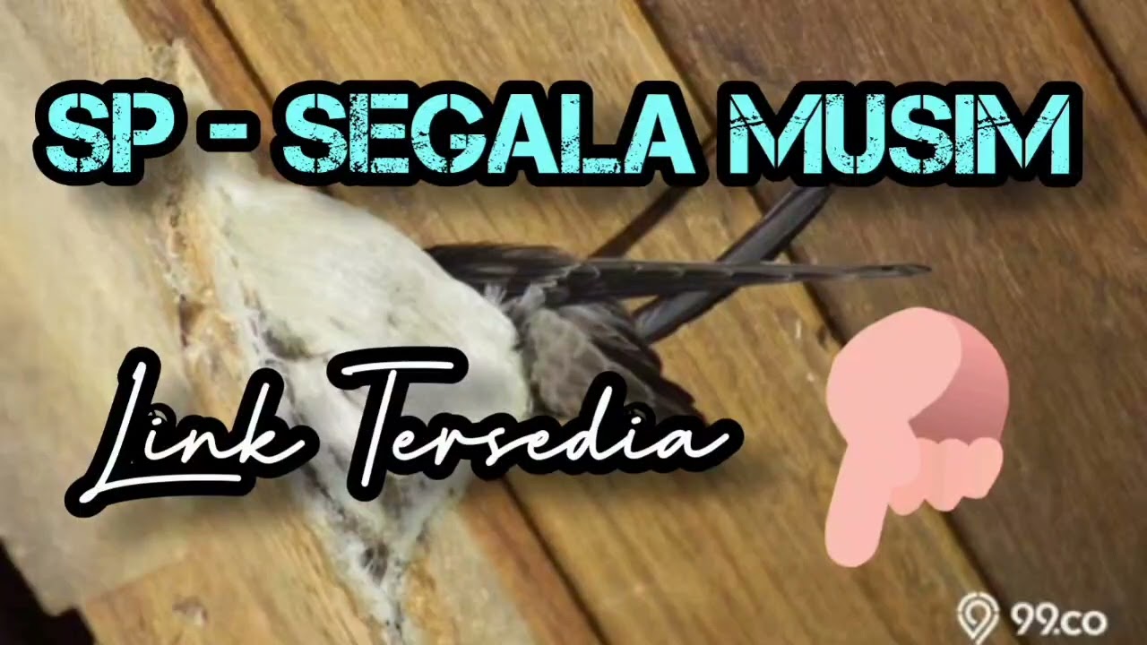 SP - SEGALA MUSIM