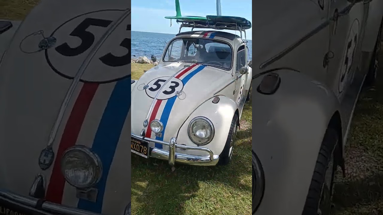 Classic car's part 2 in the car show 