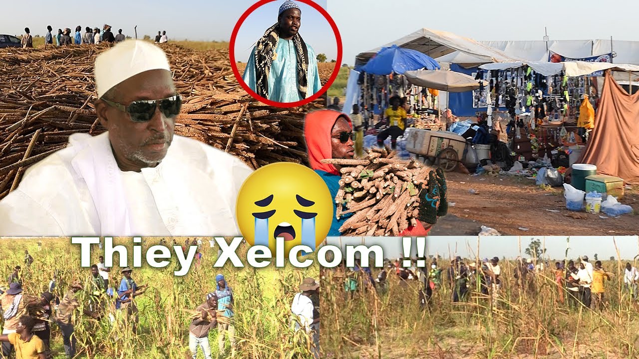Ngoobu Xelcom 2025 Theyy  Serigne Saliou mbacké ligéyou wa keur Serigne Saliou Bassirou Dendey