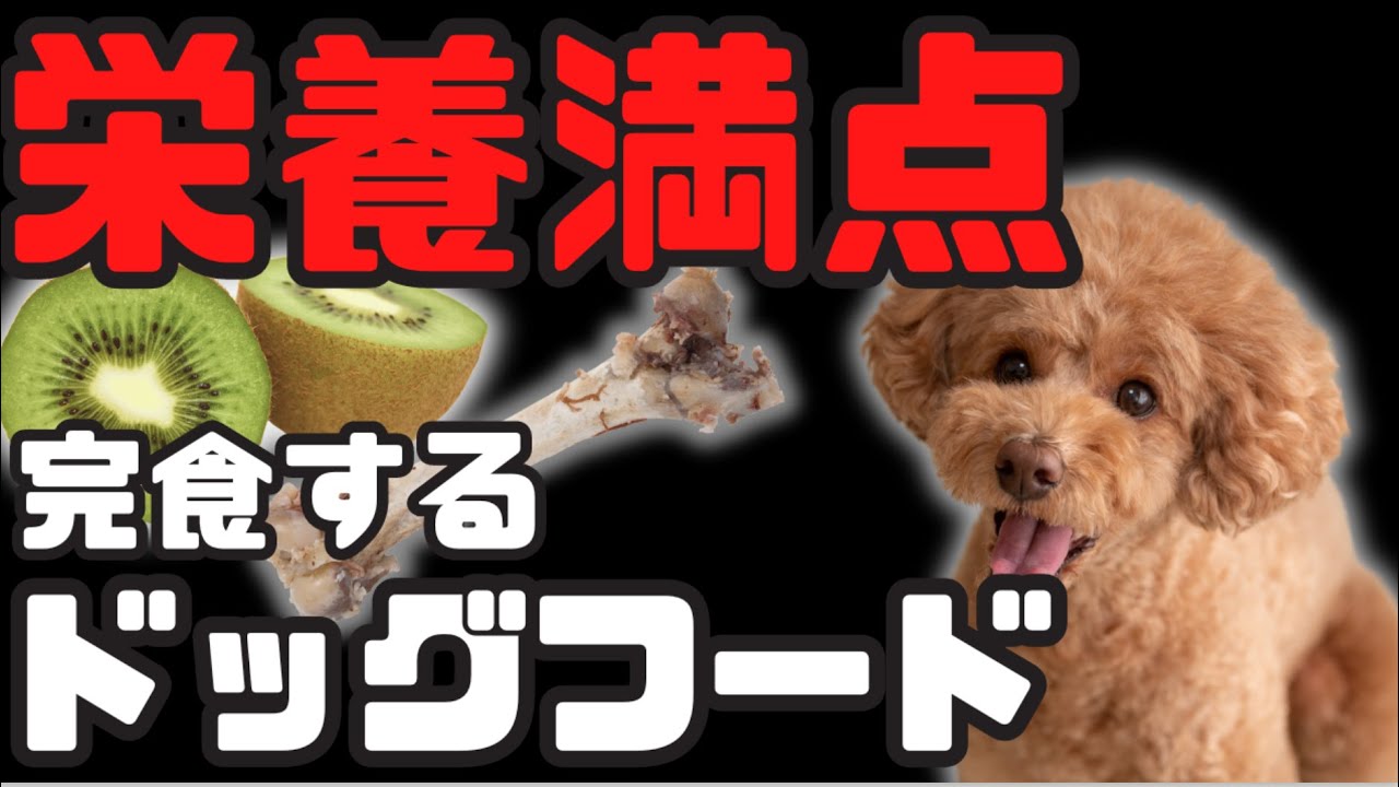 【栄養満点】完食するドックフード！ペットを元気にするトッピングのコツ！〜一緒に考えよう！その子を幸せにする食事のこと〜