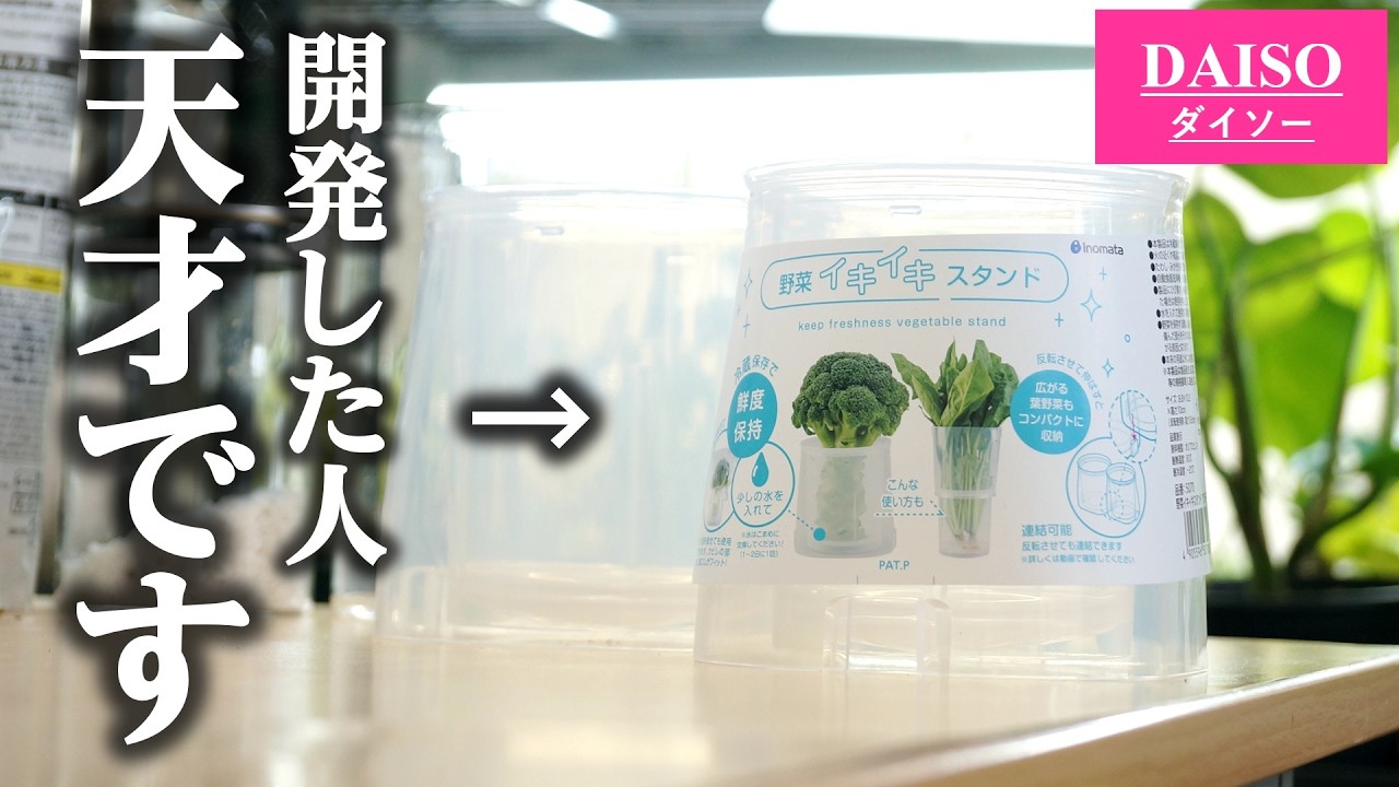 話題の100均キッチングッズ！園芸でも使える理由がこちら♪【観葉植物ベゴニア】