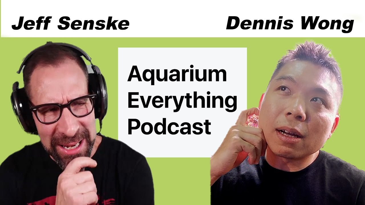 Episode 1: Dennis Wong of 2Hour Aquarist
