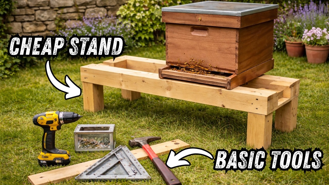 Beginner Beekeepers: Make This Easy Hive Stand Today!!
