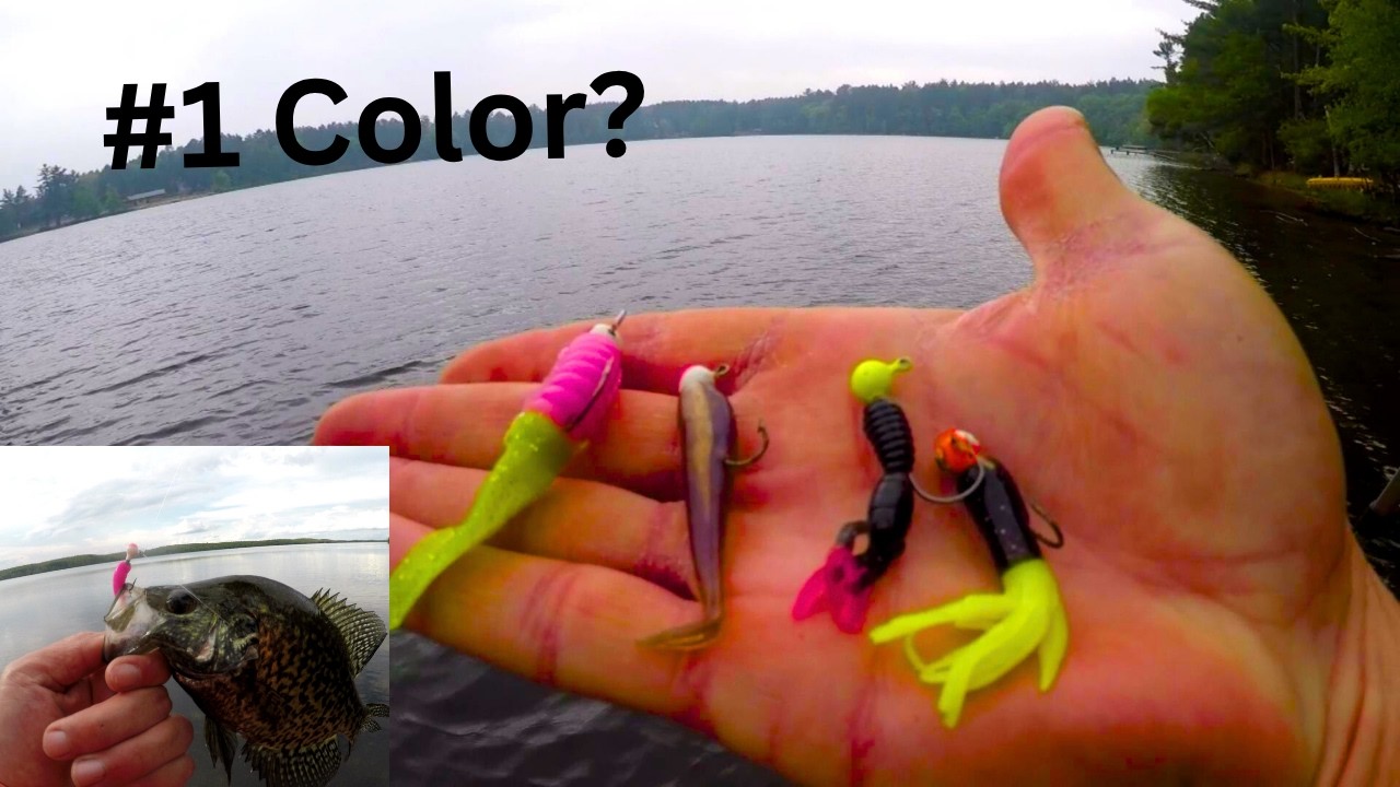 “The Best Jig Colors for Crappie (And When to Use Them)”