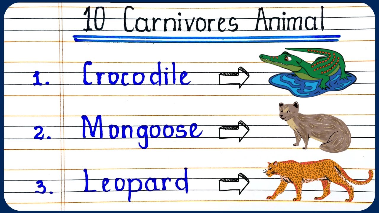 10 Carnivorous Animals Name | Carnivores Animals Name in English | Flesh eating Animals