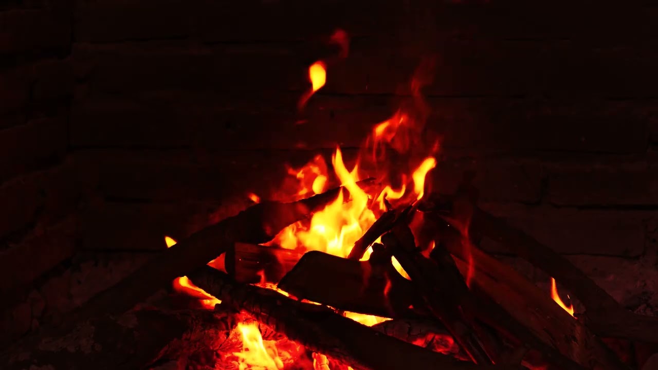 Golden Hearth Melodies • The Rhythm of the Wood