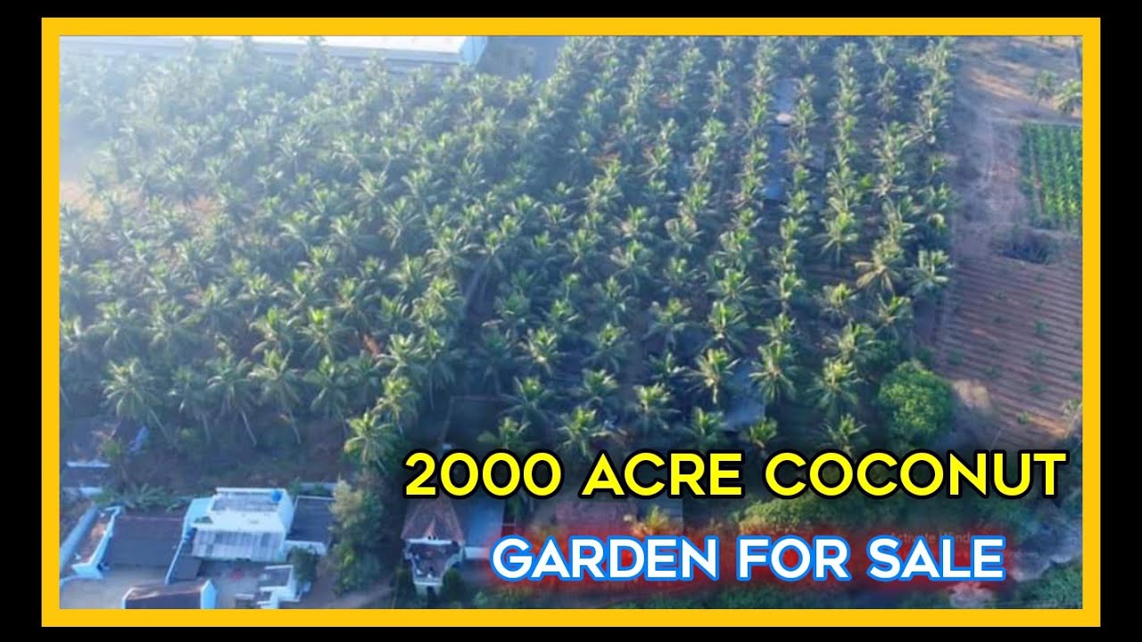 2000 Acre acres | coconut garden for sale