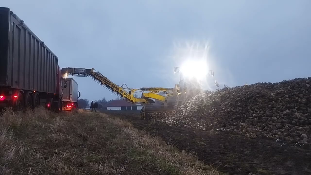 Ropa Maus 6 am Rüben Verladen bei Abend 