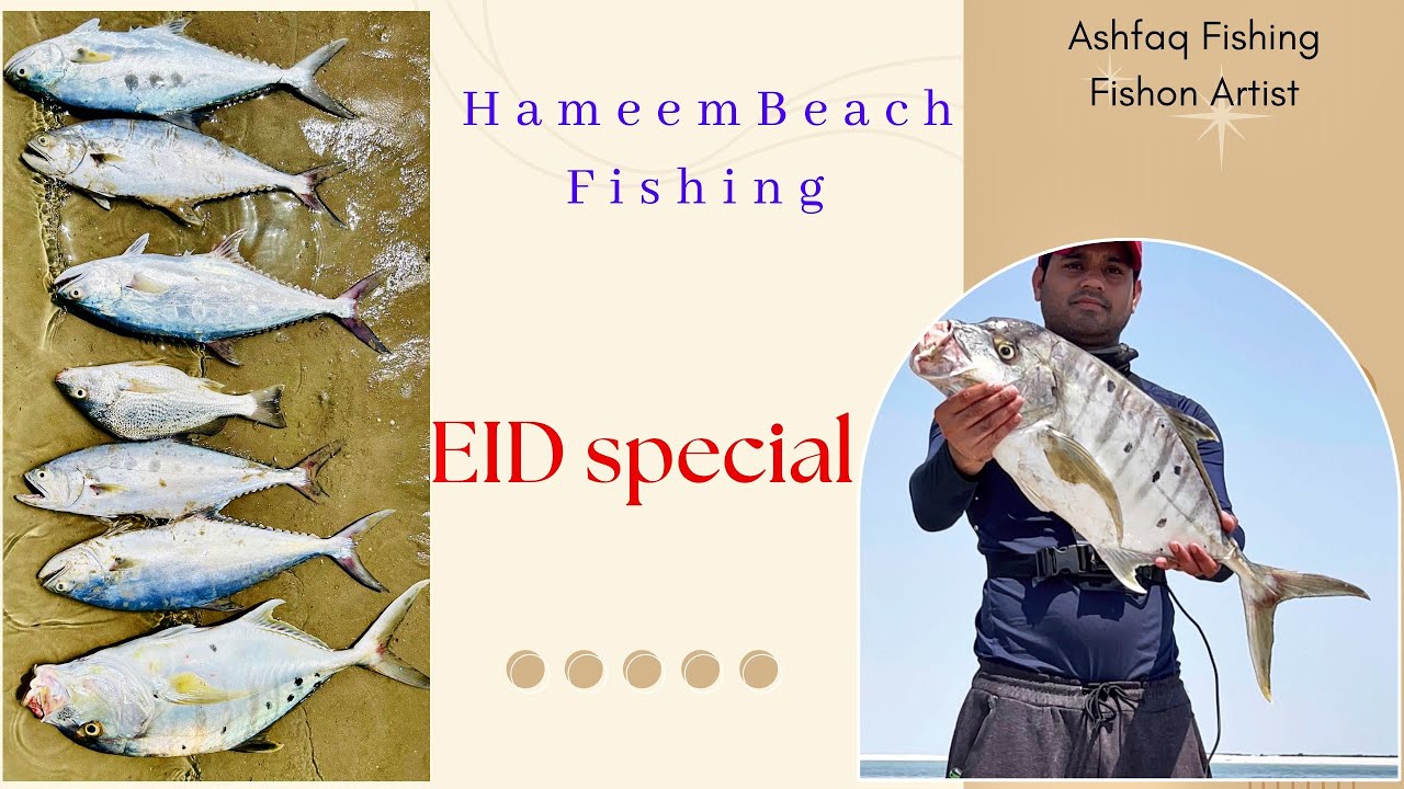 EID special | Hameem Beach | GT, Nagroor and queen fishing | Fishing in Abu Dhabi UAE (EP-056)