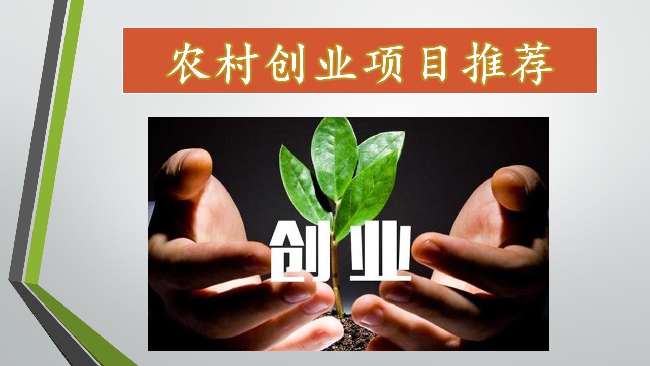[赚钱]农村创业项目推荐