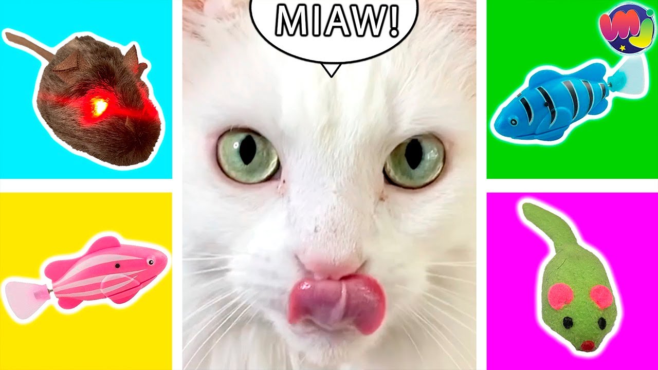 GATO juega con ANIMALES de JUGUETES 🐱 🐠 🐭