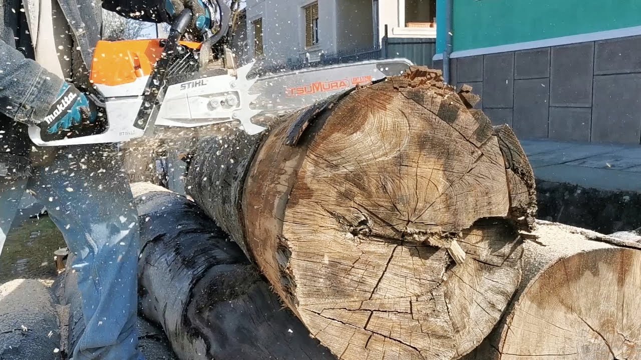 Stihl MS462, one of the best work chainsaws!!!