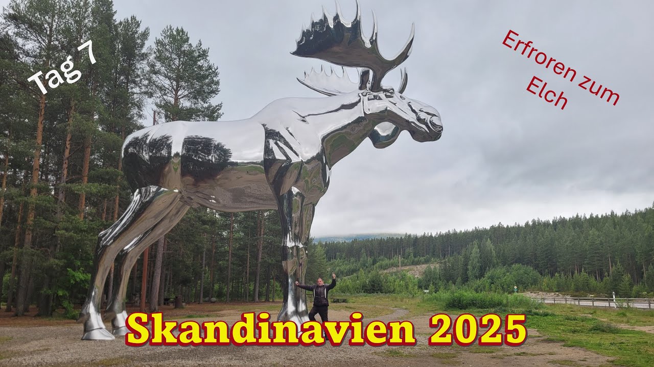 SKANDINAVIEN 2025 - Tag 7/19 - Erfroren zum Elch