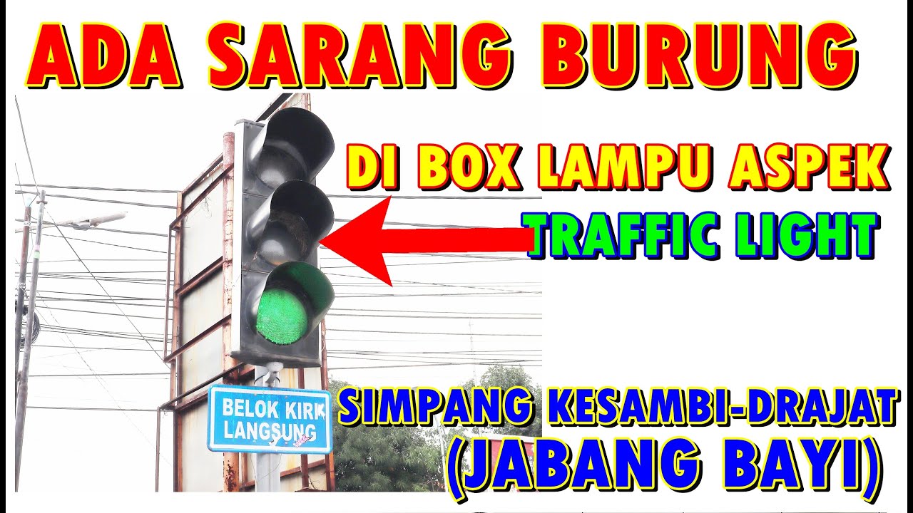 KOK BISA ADA SARANG BURUNG DI BOX LAMPU ASPEK TRAFFIC LIGHT PEREMPATAN JABANG BAYI KESAMBI CIREBON?
