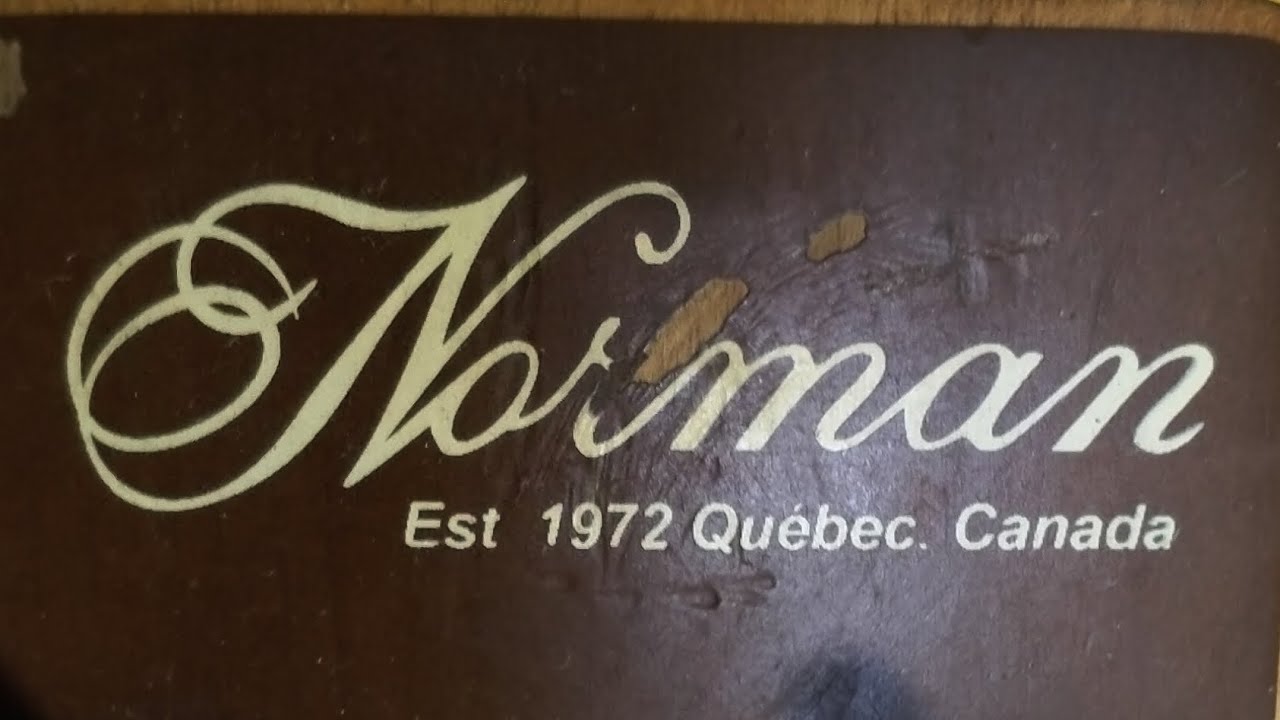 Norman Encore B20 4T | Servicing and Refret